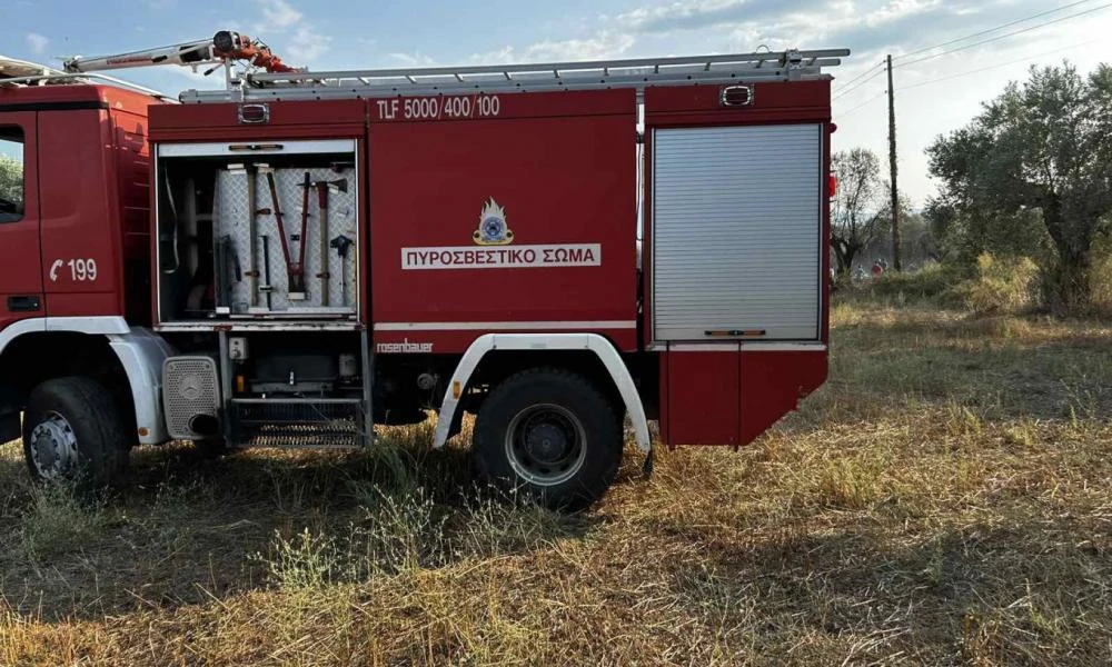 Σύλληψη άνδρα για εμπρησμό από πρόθεση στην Αμυγδαλέζα